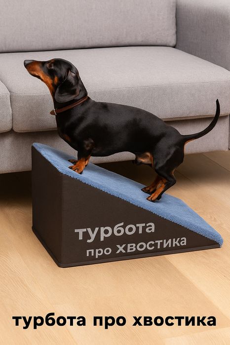 Пандус для котів і собак 40х30х60см, сходинки для тварин, лесенка