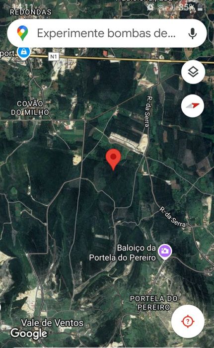 Casal da Charneca 6300m2 terreno plantação de eucaliptos