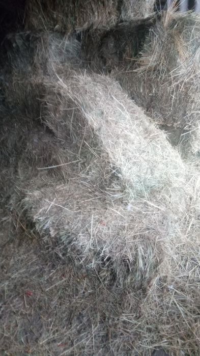 Сіно  в  тюках різнотрав'я