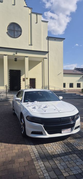 Auto do ślubu. Zawiozę do ślubu Dodge Charger v8