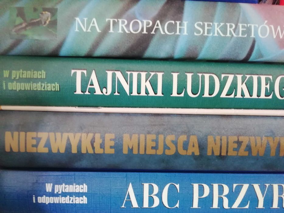 Ridgest Digest super tytuły