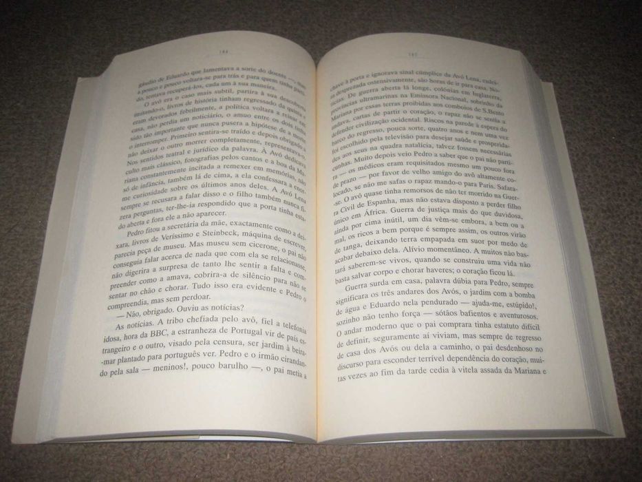 Livro "Muros" de Júlio Machado Vaz