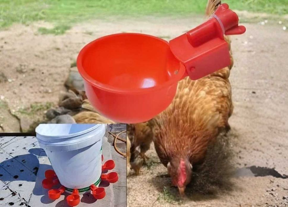 Poidła automatyczne dla kur kaczek gęsi 6 szt komplet