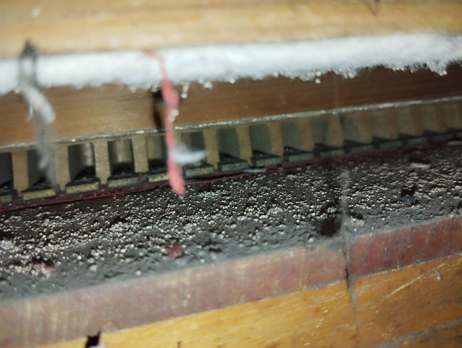 Fisharmonia organy piękne dźwięki