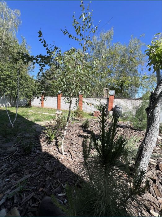 Продам дом с. Песчанка