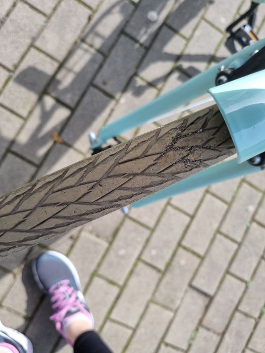 Rower Pegasus damski