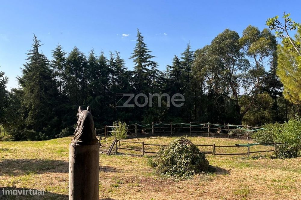 Quinta com 2 hectares, piscina, picadeiro e cavalariça - Santarém