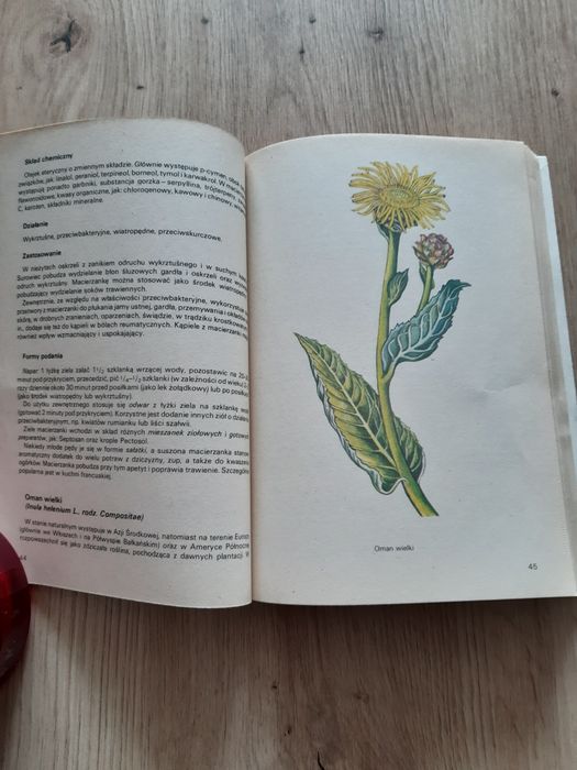 Rośliny lecznicze stosowane u dzieci. Unikat  Unikat