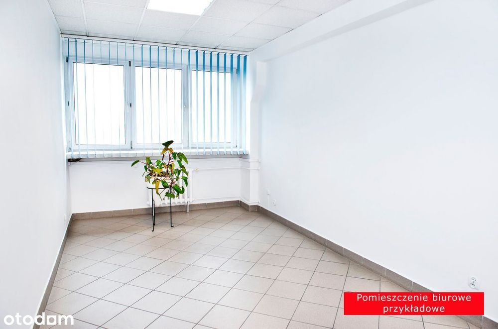 Biura 20-100 m2, pomieszczenia biurowe Tychy