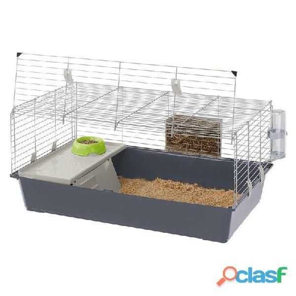 Coelhos anões+Gaiola nova+alimentação adequada