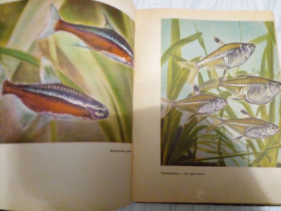 Советская книга аквариумные рыбки