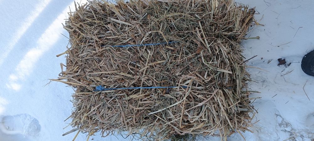 Продам сіно в тюках 60-75 грн тюк с. Соснівка