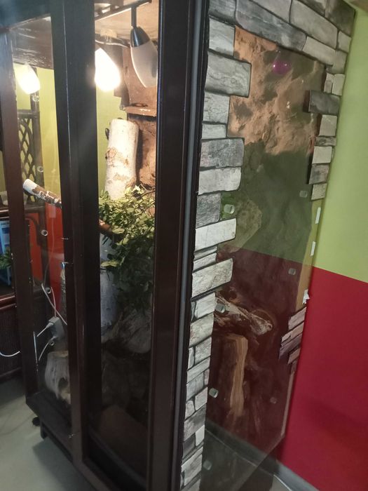 terrarium dla owadów