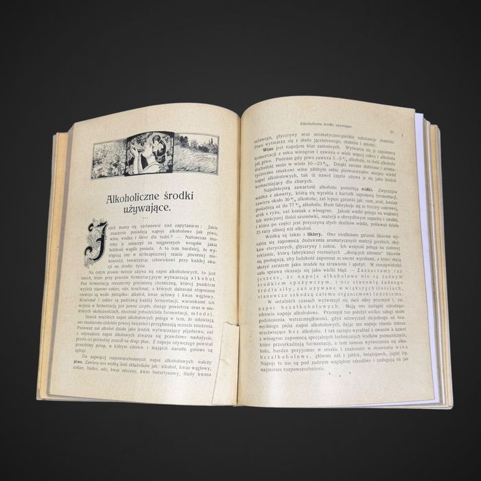 Antyk Lekarka Domowa Dr med. Janina Springer  przedwojenna encyklopedia B61/042501