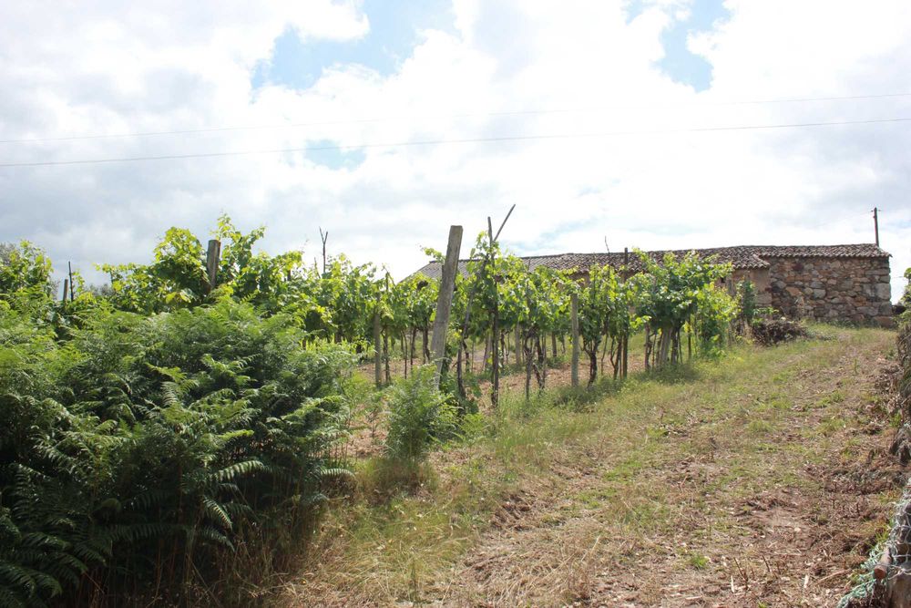 Casa típica em pedra
