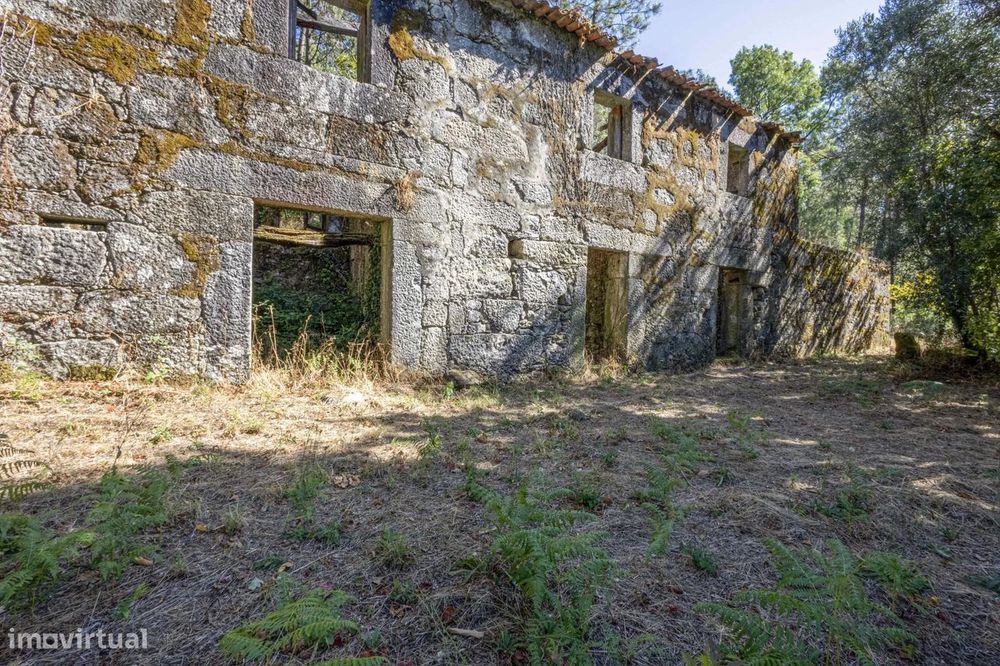Quinta com 2 Hectares e Casa em Pedra para Recuperar em Gomide, Vila V