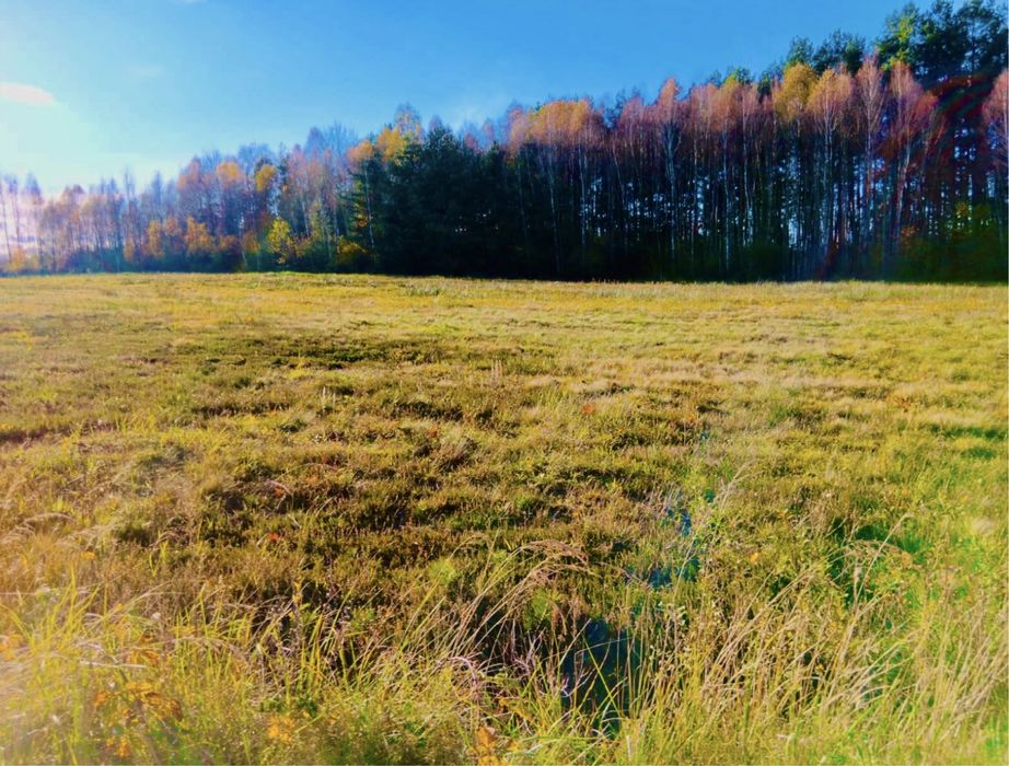 KOŃSKIE okolica sprzedam piękną działkę budowlaną!