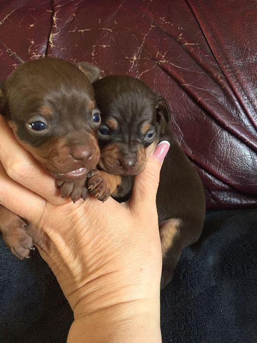 Мальчик и девочка