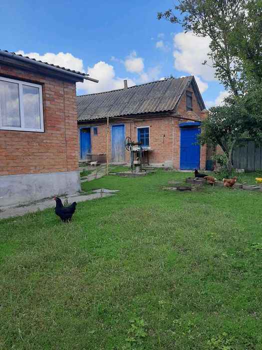 Продам будинок  в селі Куна