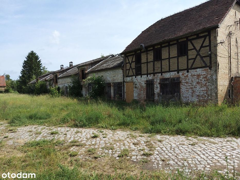 Pałac,dwór,folwark+3,1 HA park PÓŁWYSEP otoczony jeziorem-Lubuskie-HIT