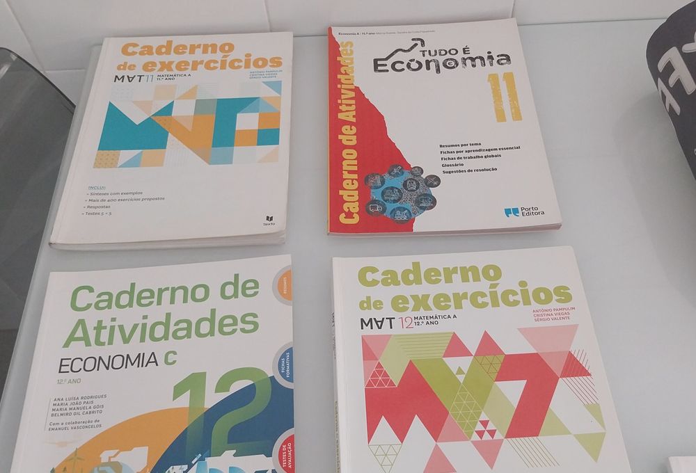 Cadernos de atividades 11° e 12° anos