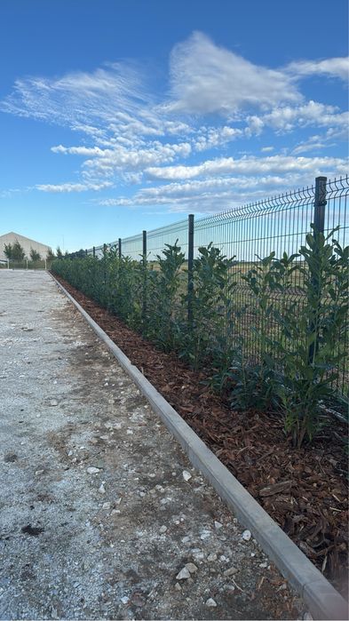 Zakładanie ogrodów pielęgnacja Trawnik Nawadnianie automatyczne