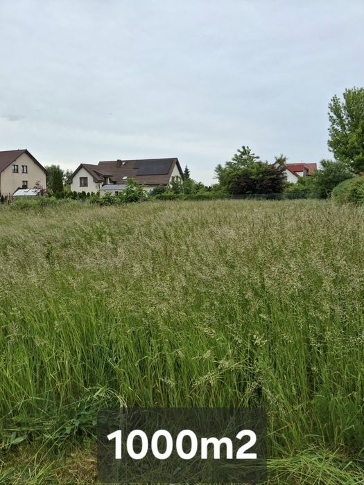 Koszenie trawy i trawnikow