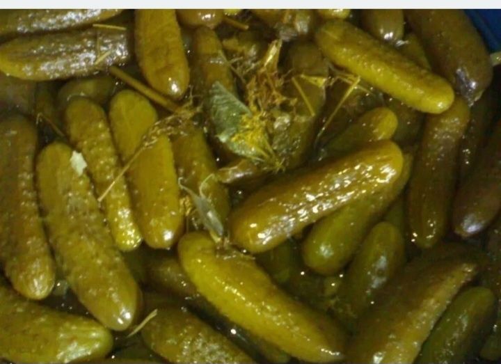 Огірки бочкові (домашнє соління)