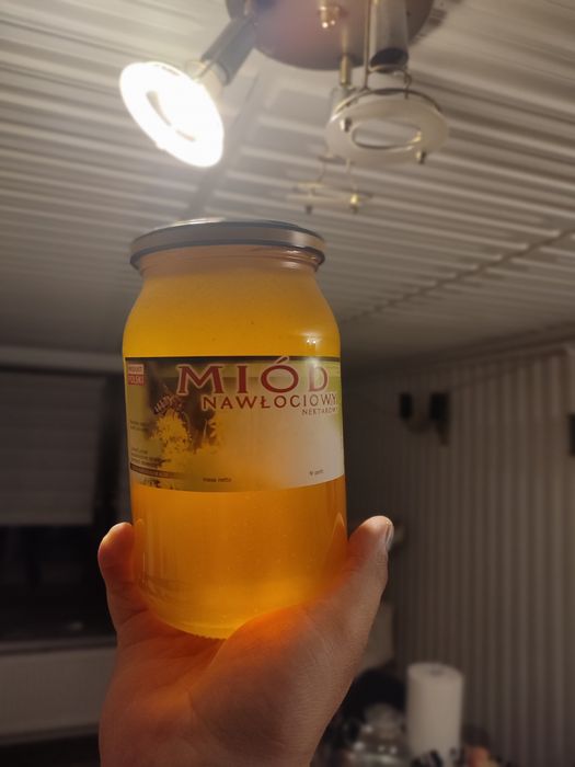 Miód nawłociowy 03.09.2022