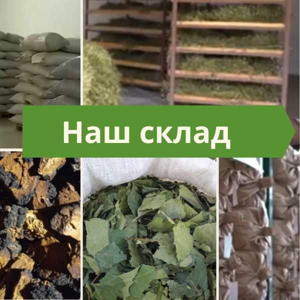 Сушёные лекарственные травы без примесей — для чаёв, настоек, сборов