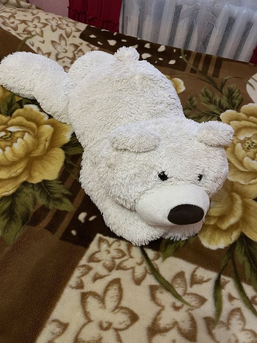 Великій білий ведмідь, мішка, большой белый медведь