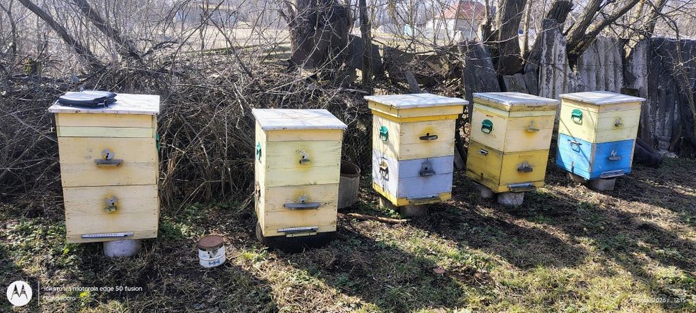Вулики для бджіл