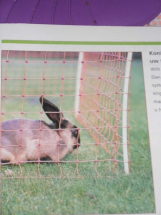 Kit para deixar andar os seus animais a vontade que é pratico e eficaz