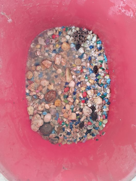 Material de aquarofilia