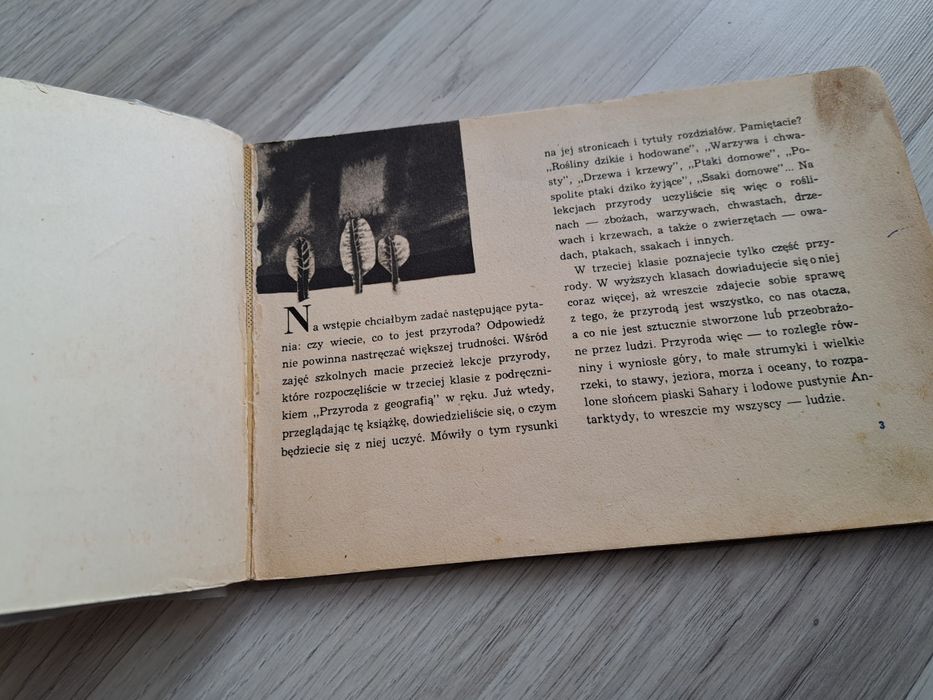 Przyroda uczy budować Witold Szolginia PRL