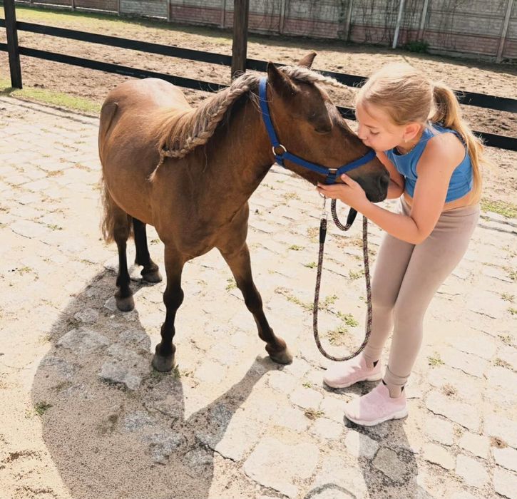 Kucyk 100 cm wyjatkowy 10 lat