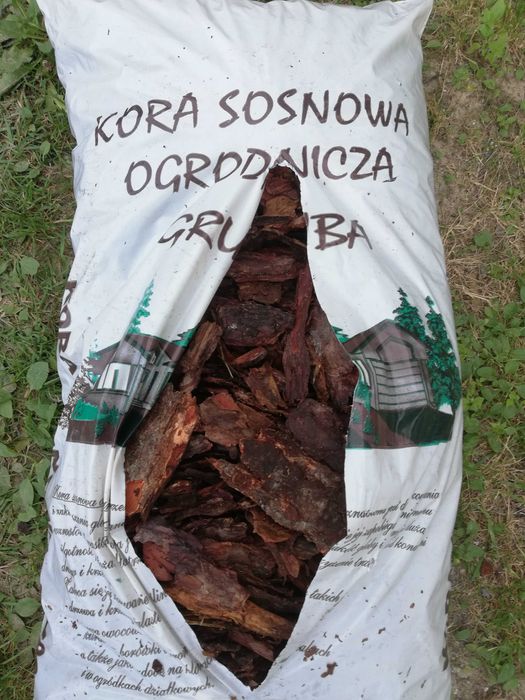 kora sosnowa 60L TRANSPORT