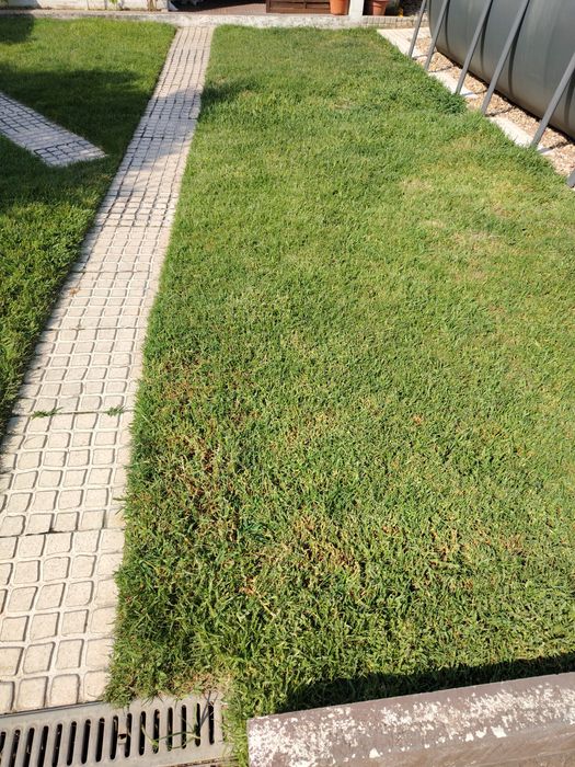 faço pequenos trabalhos de jardinagem