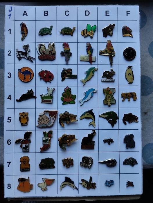 (J) Pins do tema Animais entre outros