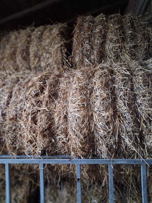 Sprzedam słomę i siano ze stodoły