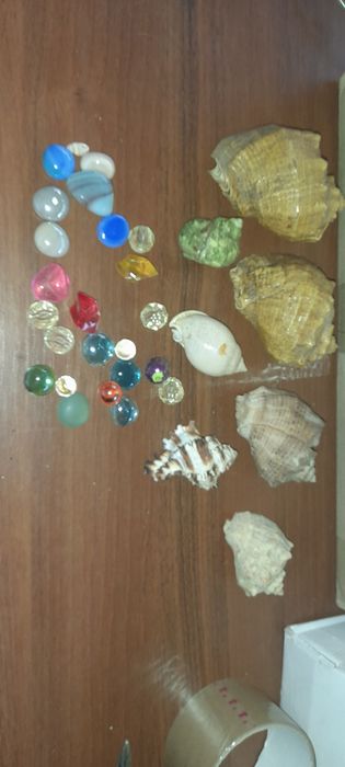 Ракушки. Мушля. Камни.