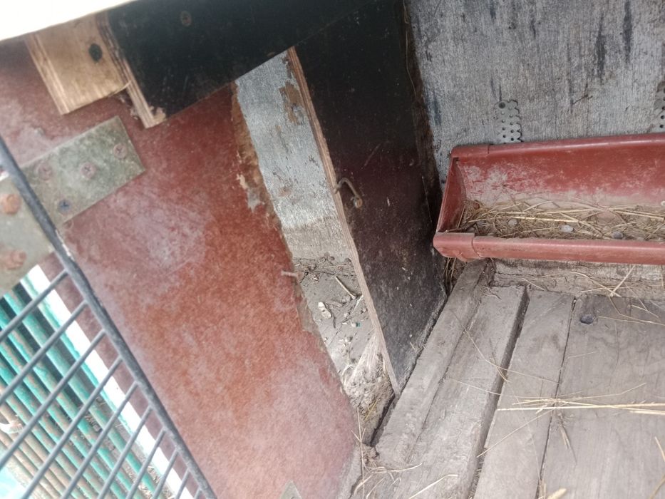 Sprzedam klatkę na kruliki