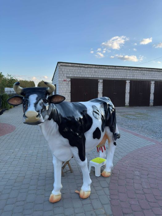 Wynajem zjeżdżalni dmuchanych/Piana Party/Krowa do dojenia