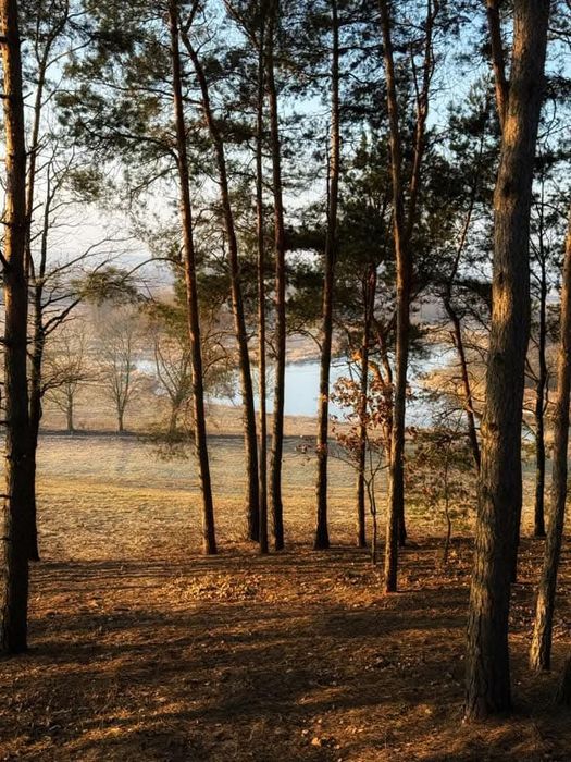 Domek z jacuzzi Wschód&Zachód