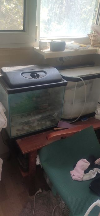 Продам две помпы