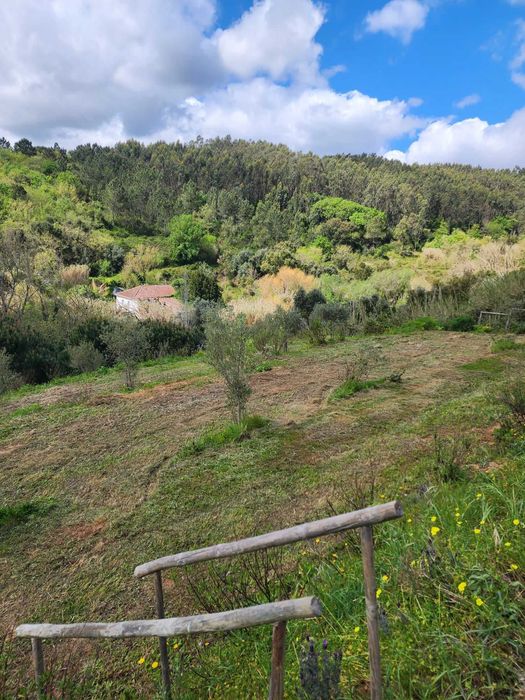 Aluguer Terreno rustico para exploração agricola / animal