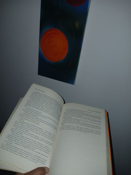 Uma obsessão indecente - Colleen McCullough