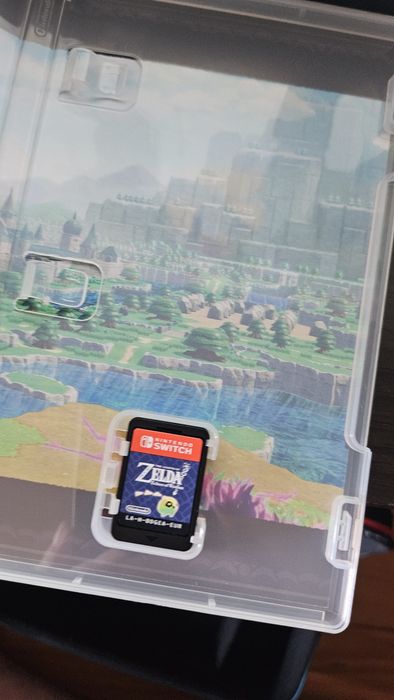 Zelda Echoes Of Wisdom