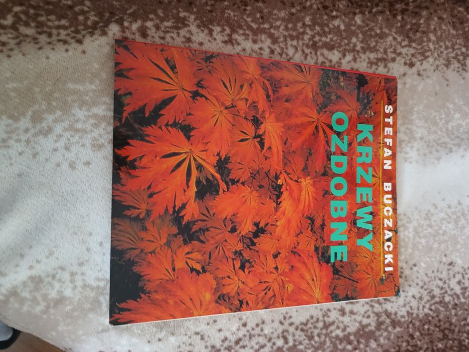 Krzewy ozdobne poradnik