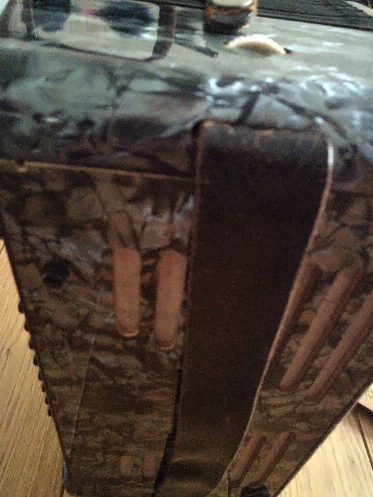 Аккордеон kingende taler